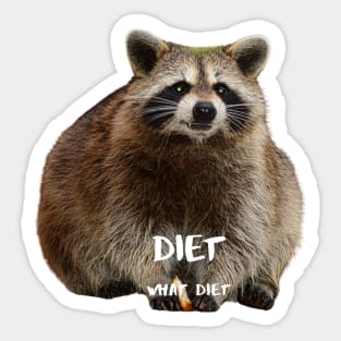 Diet What Diet Sticker